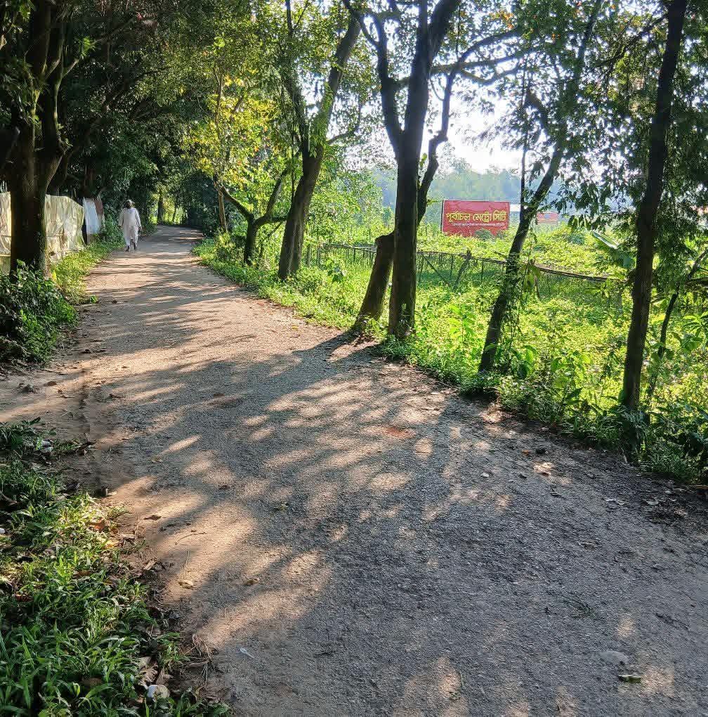 Access Road to Purbachal Metro City